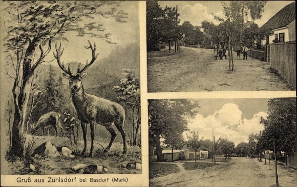 Ansichtkaart Zühlsdorf Mühlenbecker Land Oberhavel, herten, straatdelen