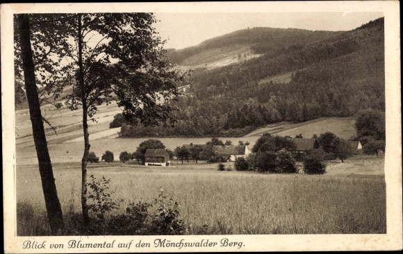 Postcard Wilthen in Oberlausitz, view from Blumental to the Mönchswalder Berg
