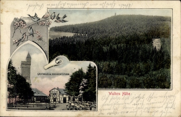 Ak Geyer im Erzgebirge Sachsen, Walters Höhe, Gasthaus, Aussichtsturm