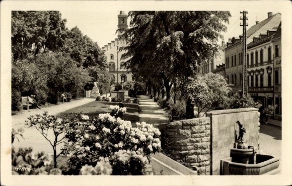 Postcard Markneukirchen in Vogtland, beautiful park, buildings in the background, flowers, trees, architecture