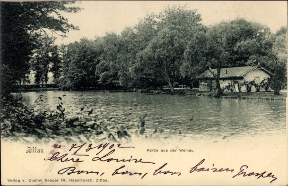 Ak Zittau in Sachsen,  Partie aus der Weinau, Verlag Gustav Renger, M. Haselhorst