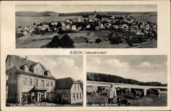 Ak Seck im Westerwald, Gesamtansicht, Gasthaus zum Adler, Inh. Th. Schäfer, Weiher, Hirte mit Kühen