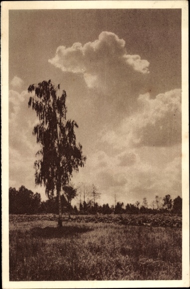 Postcard Evening in the Spreewald, WHW Das Schöne Deutschland, picture 134