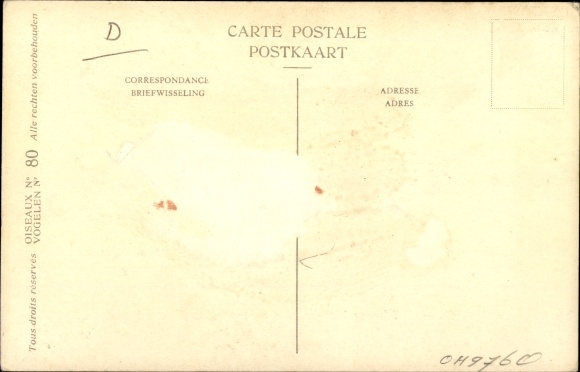 Artist Postcard Dupond, Hub., Chlidonias leucopareius, Grey Tern