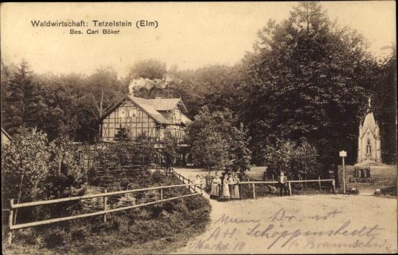 Ak Tetzelstein Elm Schöppenstedt Nedersaksen, bosbouw