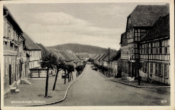 Ak Güntersberge Harzgerode am Harz, straatzicht