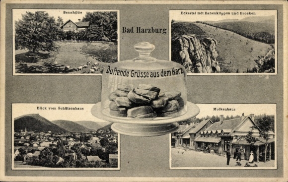 Ak Bad Harzburg am Harz, Sehenswürdigkeiten,  Rabenklippen, Molkenhaus, Blick vom Steinhaus