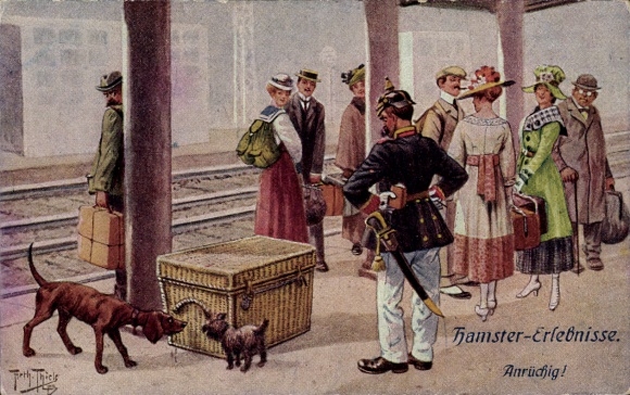 Artist Postcard Thiele, Arthur, Hamster Experiences, Disreputable, Soldier, Platform, Dogs