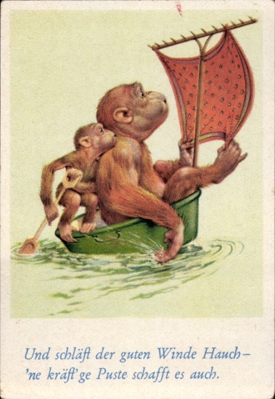 Collector's picture funny pictures No. 4, orangutans in a vat as a sailboat