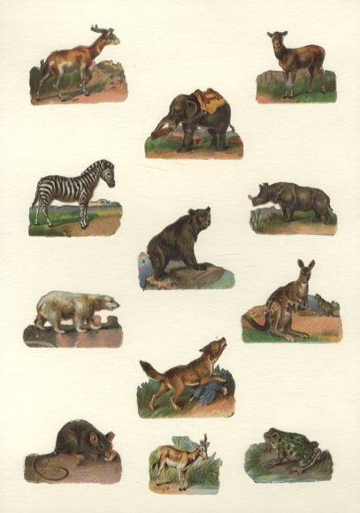 12 wafers wild animals elephant, zebra, bear, fox, frog, mouse, each approx. 4 x 6 cm
