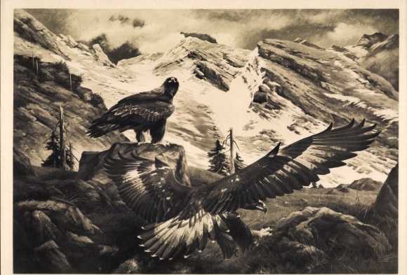 Artist PC Kiefer, Michael, golden eagle, mountains, HDK 524