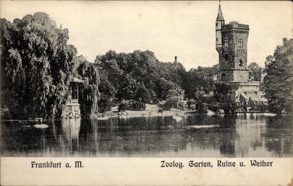 Ak Frankfurt am Main, dierentuin, ruïnes en vijver