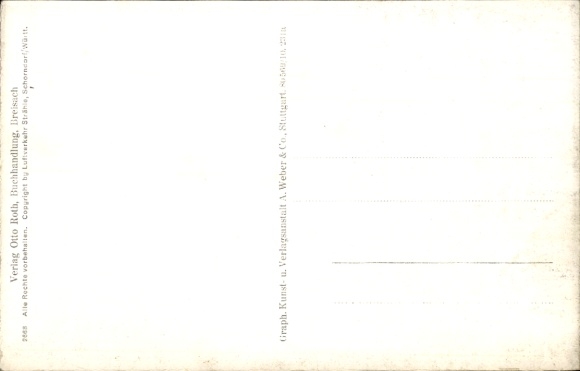 Postcard Breisach am Oberrhein, aerial photograph