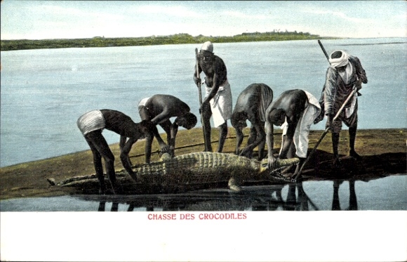 Postcard Crocodile Hunting, Egypt