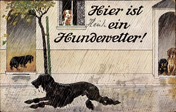 Artist Postcard It's dog weather here, dogs in the rain, dachshunds, poodles