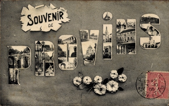 Ak Provins Seine et Marne, Souvenir de  verschiedene  Motive und Blumen