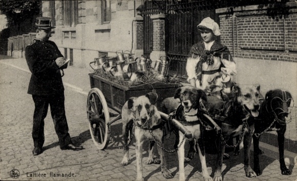 Ak Milchmädchen in belgischer Tracht, Hundekarren, Polizist
