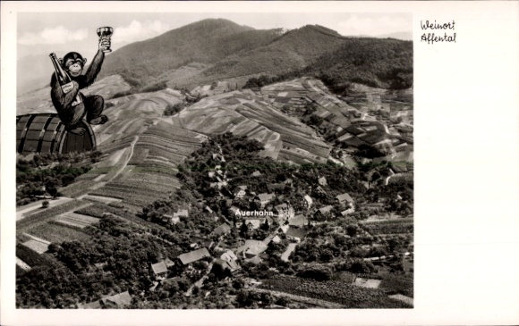 Postcard Affental Bühl in Baden, aerial photograph, Gasthaus zum Auerhahn, monkey with wine bottle