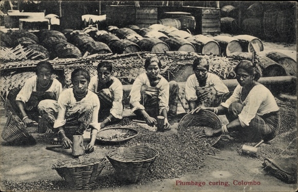 Ak Colombo Ceylon Sri Lanka, Plumbago curing