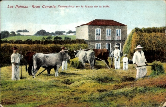 Postcard Las Palmas de Gran Canaria Canary Islands, Campesinos en la faena de la trilla