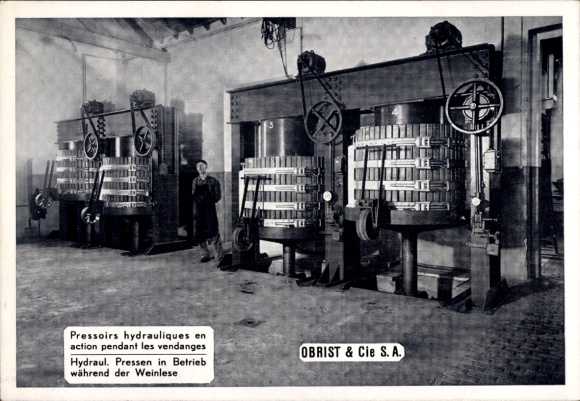 Postcard Obrist & Cie., Hydraulic presses in operation during the grape harvest