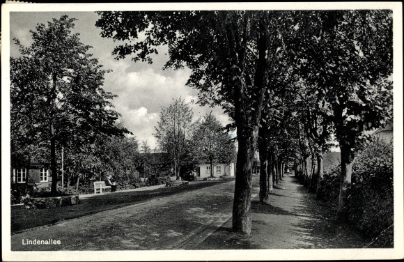 Ak Rickling in Holstein, Lindenallee