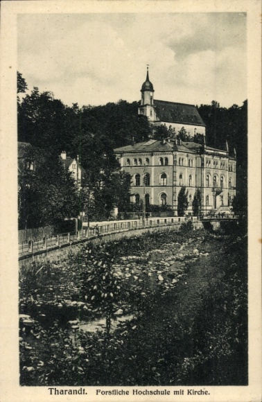 Postcard Tharandt in the Ore Mountains, Forestry College with Church