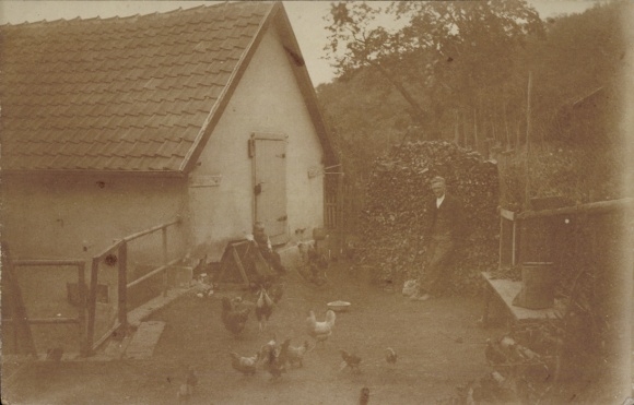 Photo Postcard Gernrode Quedlinburg in the Harz, residential house, chickens