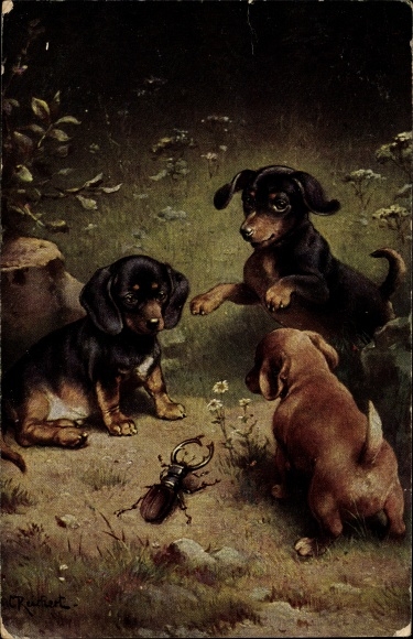Artist PC Reichert, puppies watch a stag beetle