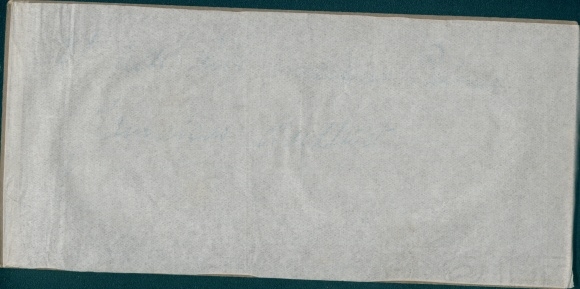 Stereo Photo Jamaica, 1915, Strandpartie, Palmen