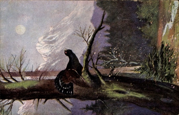 Artist Postcard Capercaillie on a tree, forest