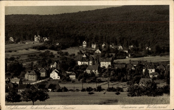 Ak Niedernhausen im Taunus Hessen, Pensionen am Waldesrand, Panorama