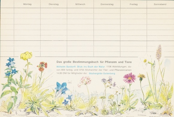 Timetable Advertising, The big identification book for plants and animals, Plants, Serengeti