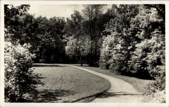 KP Vlašim Wlaschim Plesing Środkowe Czechy, park