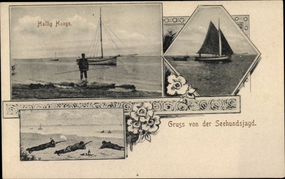 Ak Hallig Hooge in Nordfriesland, Gruß von der Seehundsjagd, Robbenjagd