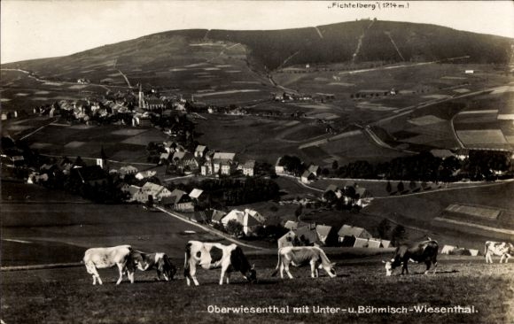 Postcard Oberwiesenthal in the Ore Mountains, Panorama, Fichtelberg, Unterwiesenthal, Bohemian Wiesental, cows
