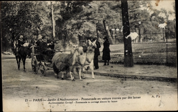 PC Paris XVI, Jardin d'Acclimatation, ride in a car pulled by llamas