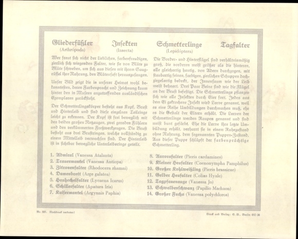 Timetable Sparkasse Herzogtum Gotha, local butterflies, insects, arthropods around 1930