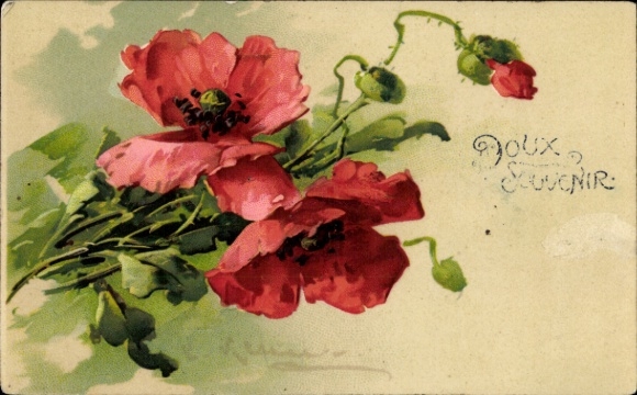 Artist Chromo-Litho Klein, Catharina, Poppies, Flowers and Buds