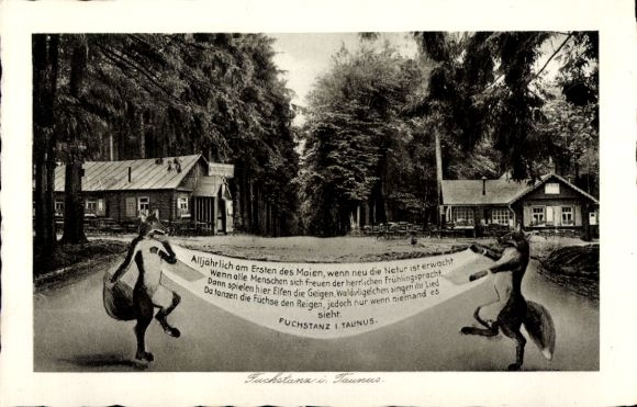 Postcard Königstein im Taunus Hessen, fox dance, houses
