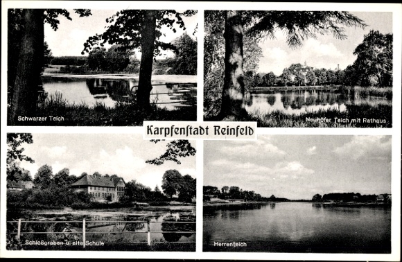 Postcard Reinfeld in Holstein, Schwarzer Teich, Neuhöfer Teich with town hall, castle moat and old school