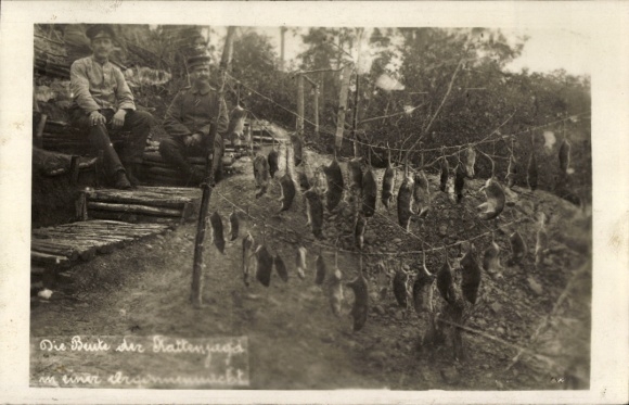 Photo Postcard theater of war in the Argonne, German soldiers in uniform, prey of the rat hunt, WWI