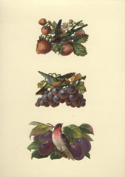 3 Oblaten Singvögel / exotische Vögel mit Beeren, Trauben, Pflaumen, je ca. 6 x 11 cm