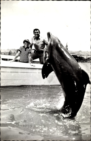 Ak Schauspieler, Delfin Flipper
