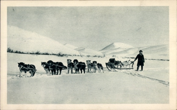 Ansichtkaart Alaska USA, Wagons lits de l'Arctique, hondenslee