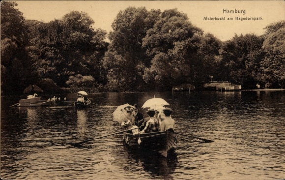 Postcard Hamburg Eimsbüttel Harvestehude, Alsterbucht at Hagedornpark, rowing boat, women