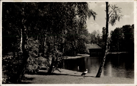 Postcard Elstal Wustermark Brandenburg, Olympic Village, Inf. School, Sauna with Forest Lake