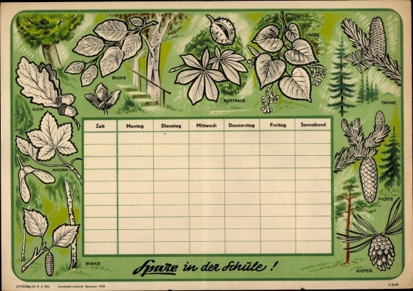 Timetable DDR Sparkasse Trees of our homeland, birch, maple, oak around 1960