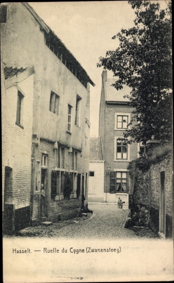 Ansichtkaart Hasselt Limburg België, Ruelle du Cygne, Zwanensteeg