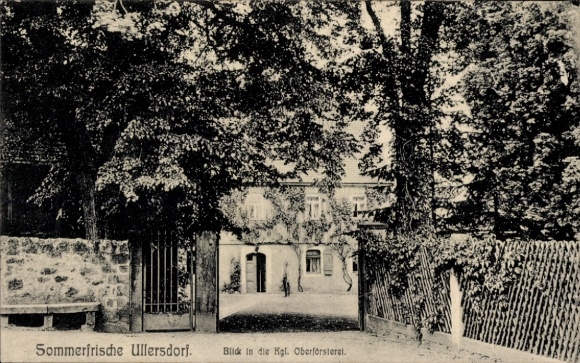 Postcard Ullersdorf Radeberg in Saxony, Royal Forestry Commission